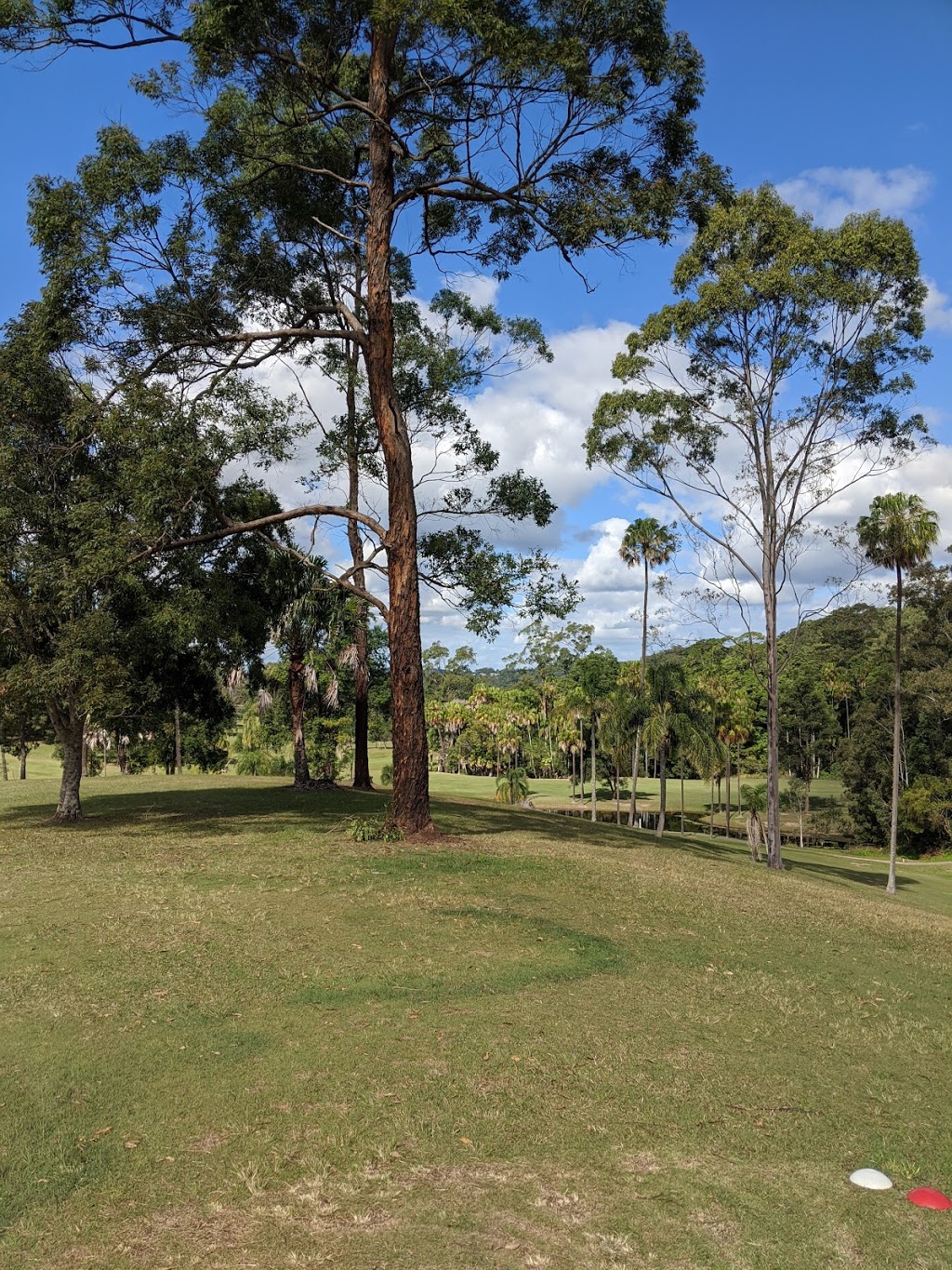 Nambour Golf Club |  | 1051 Nambour Connection Rd, Nambour QLD 4560, Australia | 0754412049 OR +61 7 5441 2049