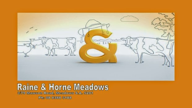 Raine & Horne | real estate agency | 3/79 Mawson Rd, Meadows SA 5201, Australia | 0883883188 OR +61 8 8388 3188