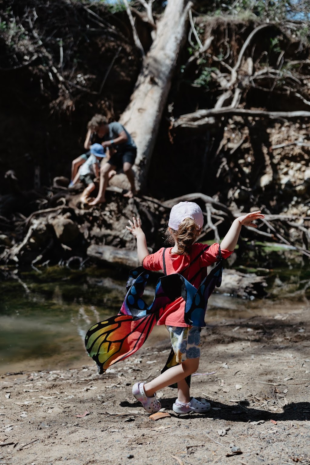 Bush Magic Adventure Therapy | 560 Avondale Rd, Avondale NSW 2530, Australia | Phone: 0428 909 895