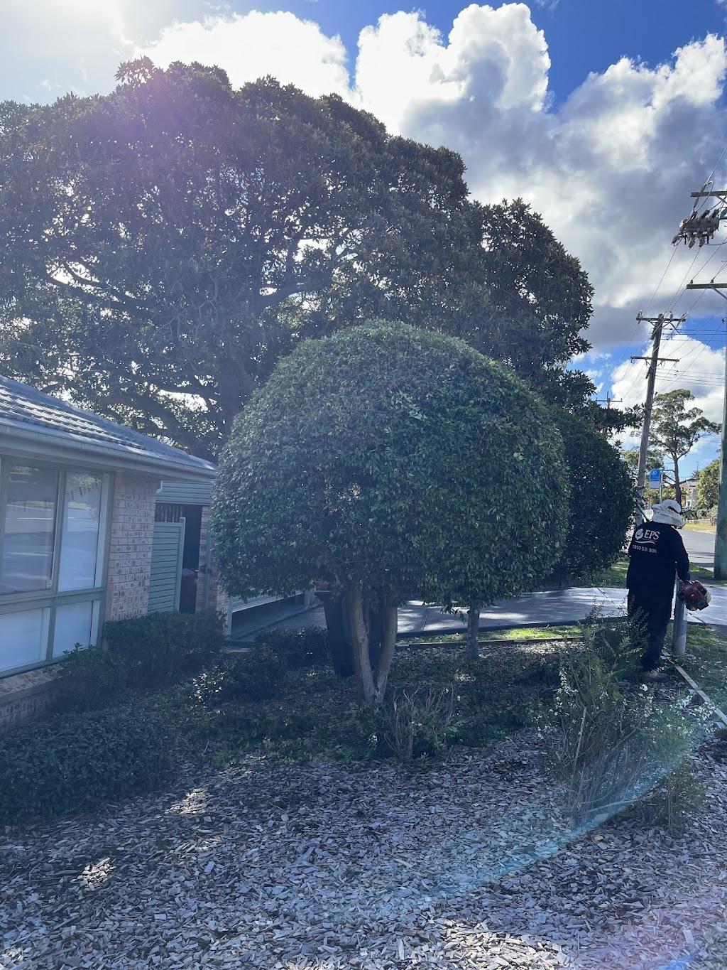 Curt’s Landscaping and Maintenance | Kruger Ave, Windang NSW 2528, Australia | Phone: 0423 350 164