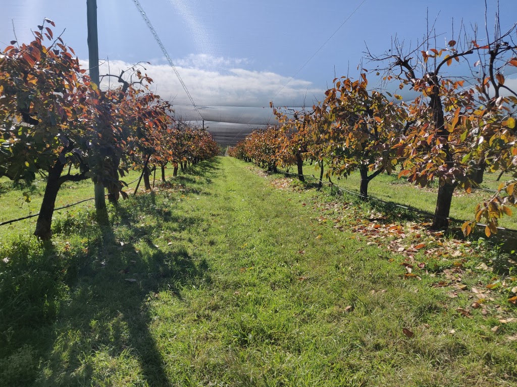 Cedar Creek Orchard |  | 269 Mulhollands Rd, Thirlmere NSW 2572, Australia | 0246818457 OR +61 2 4681 8457