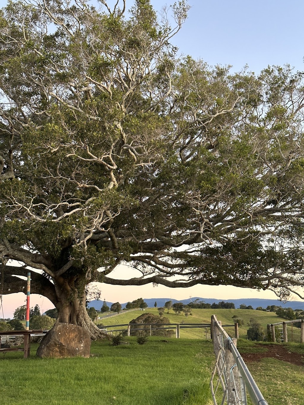 The Wagon Stop Wellness Farm | 1320 Beechmont Rd, Beechmont QLD 4211, Australia | Phone: 0468 948 447
