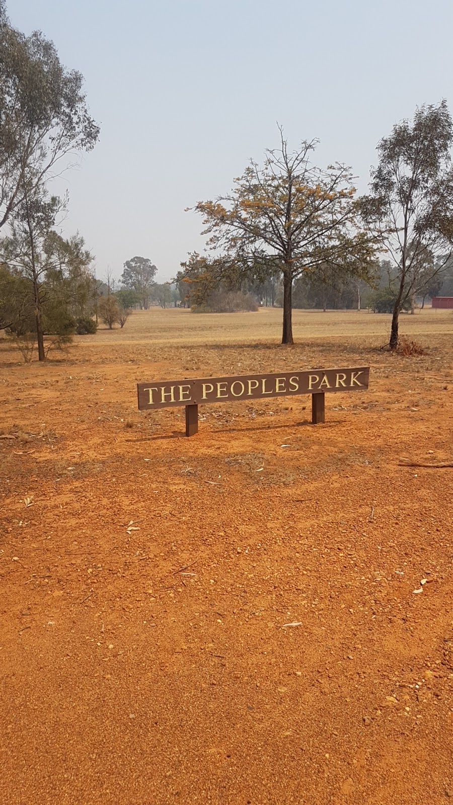 The Peoples Park | park | 47-59 Wynella St, Gulgong NSW 2852, Australia