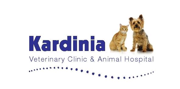 Kardinia Veterinary Clinic | veterinary care | 94 The Terrace, Ocean Grove VIC 3226, Australia | 0352215122 OR +61 3 5221 5122
