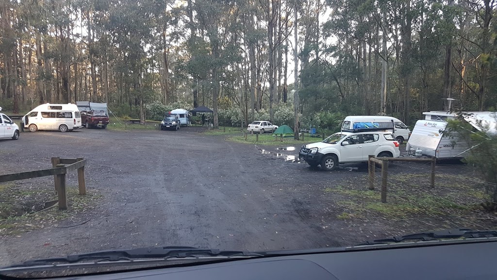 Big Hill Track | campground | 1265 Deans Marsh-Lorne Rd, Benwerrin VIC 3235, Australia | 00000000 OR +61 00000000