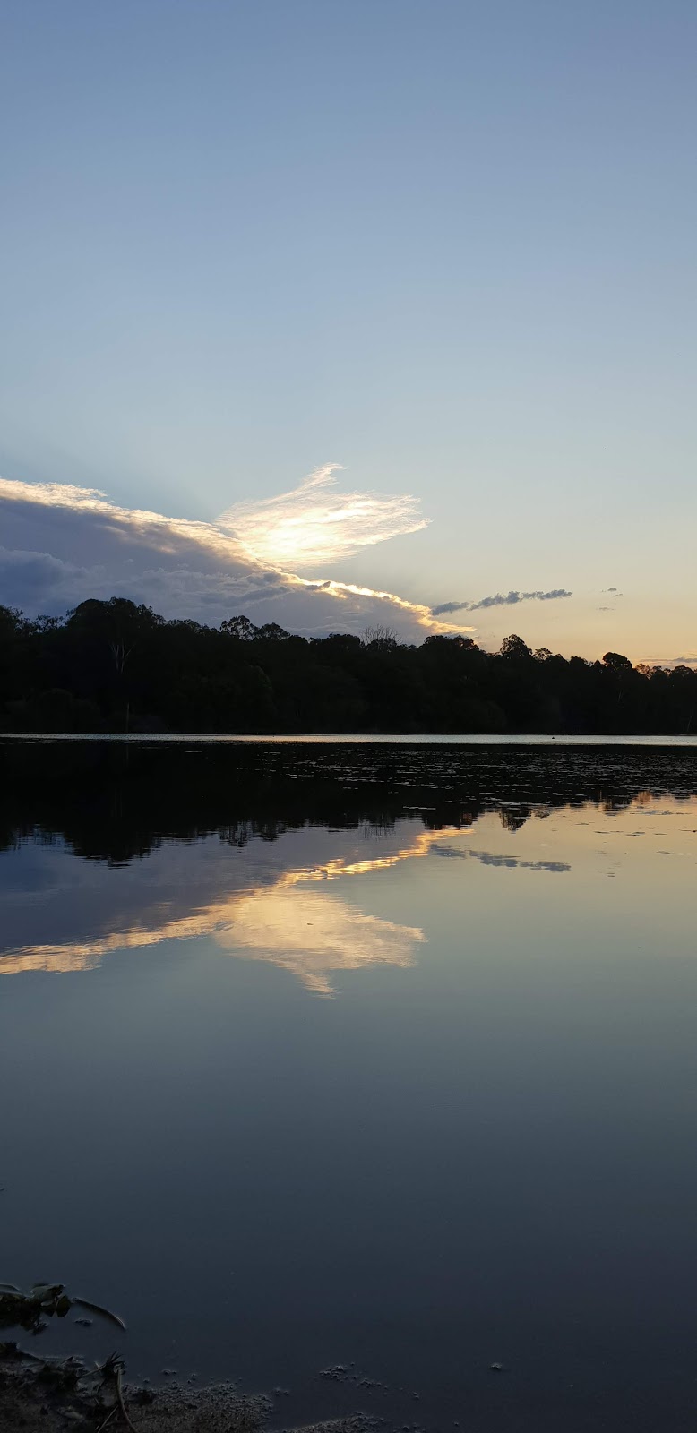 Jabiru Park | park | Grange Rd, Lake MacDonald QLD 4563, Australia