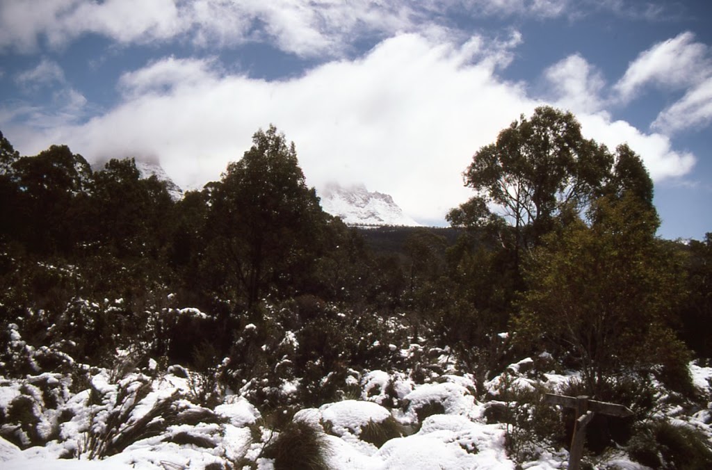 Kia Ora Hut | lodging | Lake St Clair TAS 7140, Australia