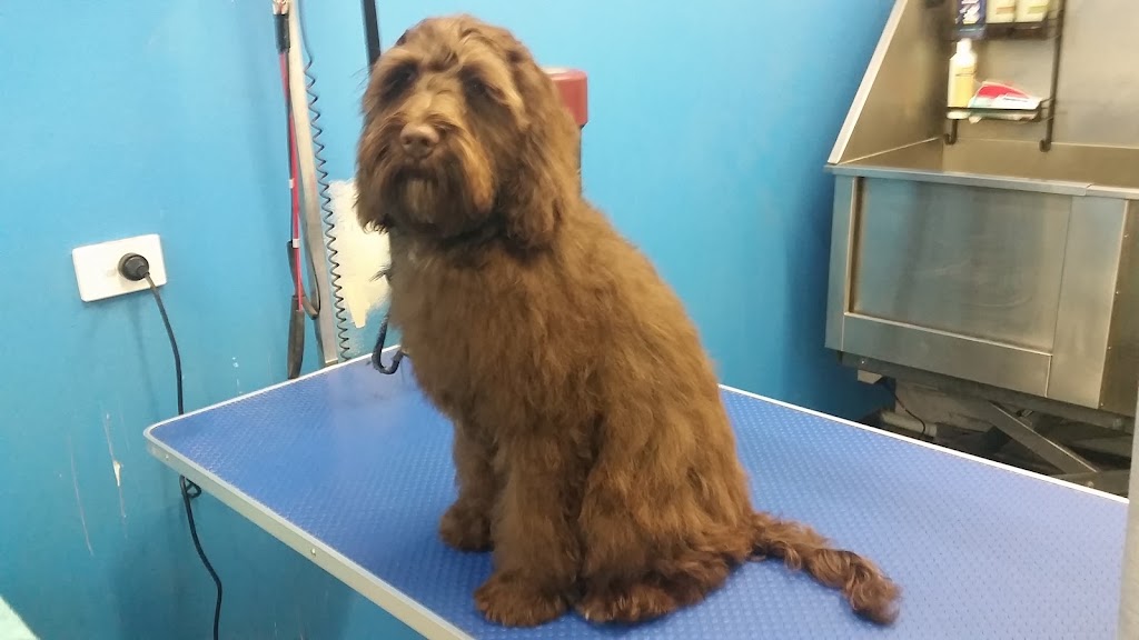 Fur King Groomer | Unit 1/90 Mount Hall Rd, Raymond Terrace NSW 2324, Australia | Phone: 0422 296 663