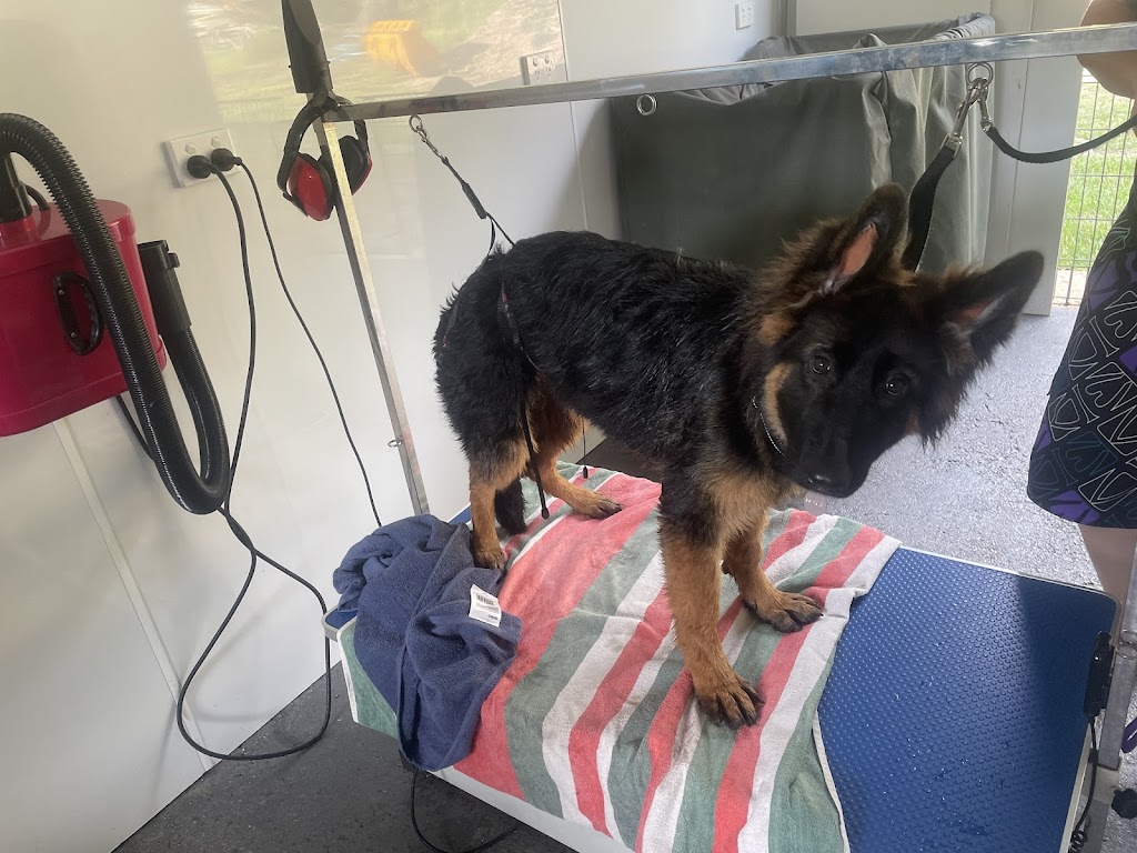 Megs Pampered Pets | 287 Sussex Inlet Rd, Sussex Inlet NSW 2540, Australia | Phone: 0411 989 469