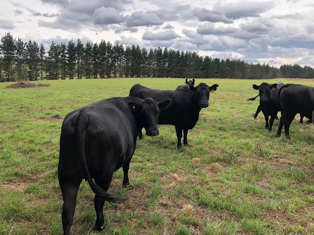 Woonan | 3100 Oallen Ford Rd, Windellama NSW 2580, Australia | Phone: 0431 728 742