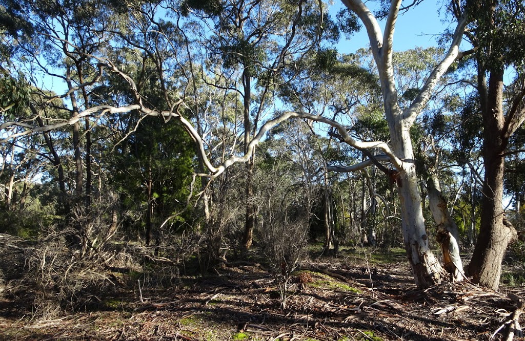 Long Point Flora Reserve | park | 1180 Gillies Rd, Creswick VIC 3363, Australia
