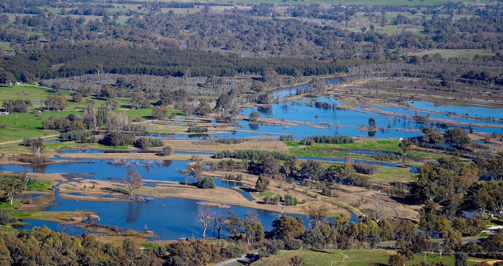 Paradise Island Farm | On Murray River near, Wodonga VIC 3690, Australia | Phone: 0420 306 362
