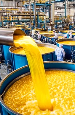 The Hubibs Oil Factory Headquarters Tittybong | Meehan Rd, Cannie VIC 3540, Australia | Phone: 0409 677 482