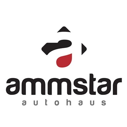 Ammstar Autohaus | car repair | 228 Centre Dandenong Rd, Cheltenham VIC 3192, Australia | 0395851676 OR +61 3 9585 1676