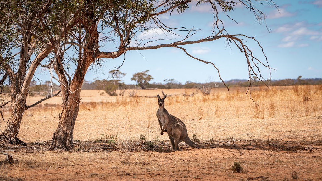 Murray Offroad Adventures | 96 Ginquam Ave, Irymple VIC 3498, Australia | Phone: 0417 500 131