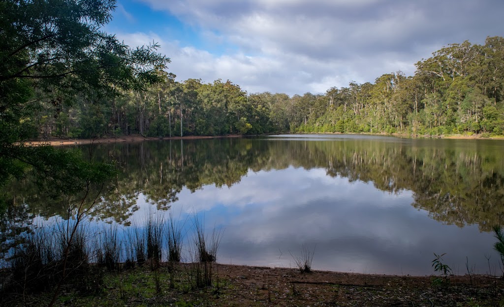 Karri Lake Trail | park | Unnamed Road, Quinninup WA 6258, Australia