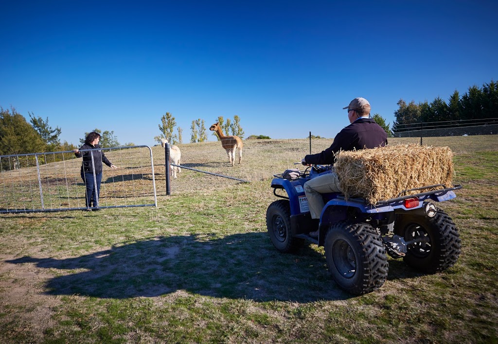 Blackwattle Alpaca Farm | food | 315 Patemans Ln, Murrumbateman NSW 2582, Australia | 0403991612 OR +61 403 991 612