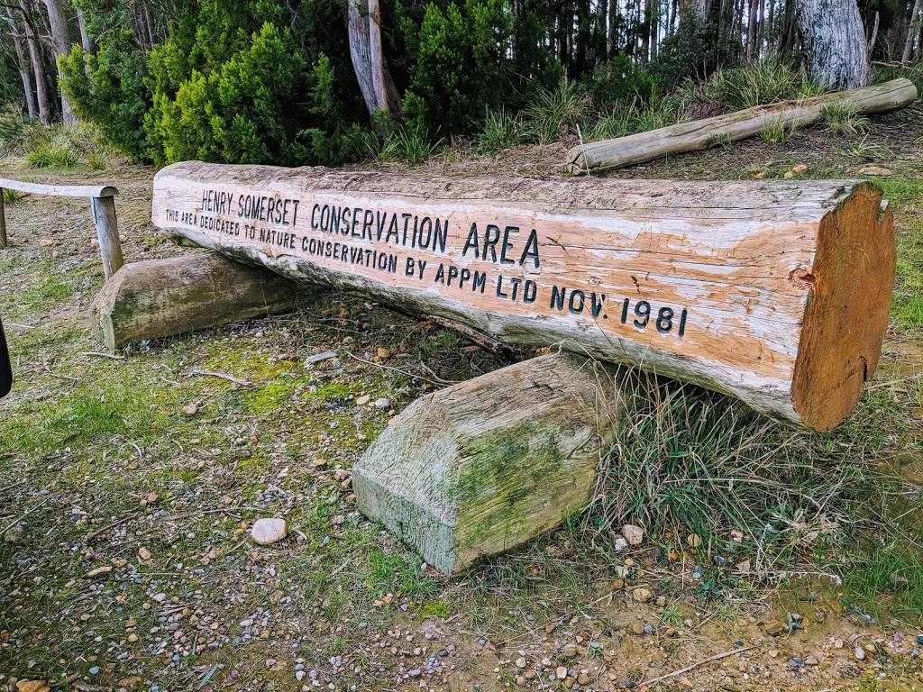 Henry Somerset Reserve | park | 3001 Railton Rd, Latrobe TAS 7307, Australia