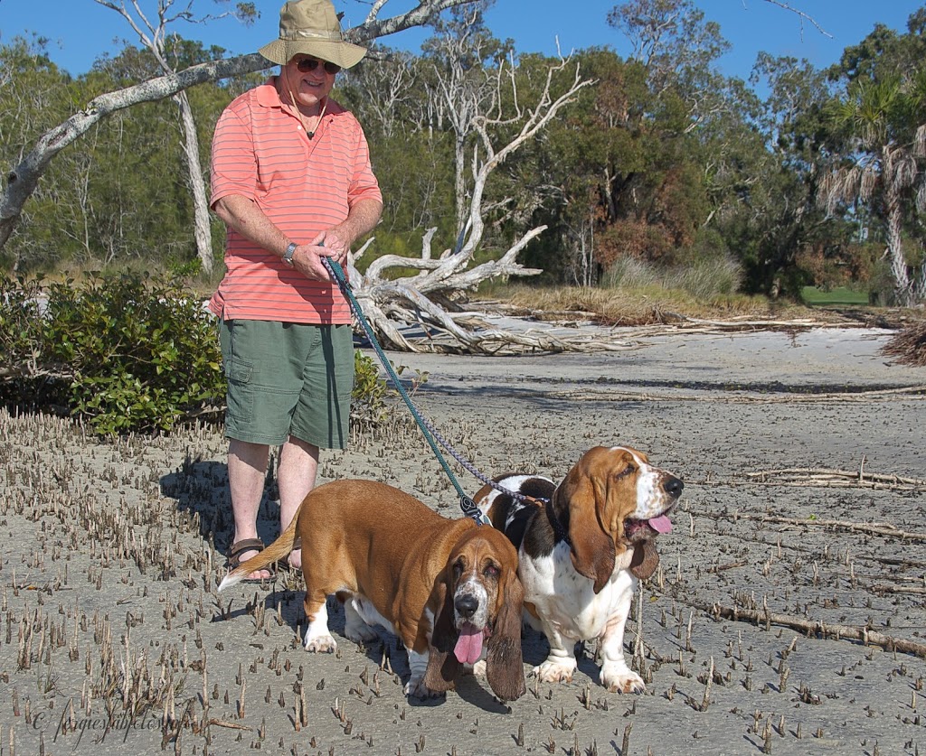 Tin Can Bay Photography & Outdoor Photography Workshops | 28 Creekside Esplanade, Cooloola Cove QLD 4580, Australia | Phone: 0438 831 947