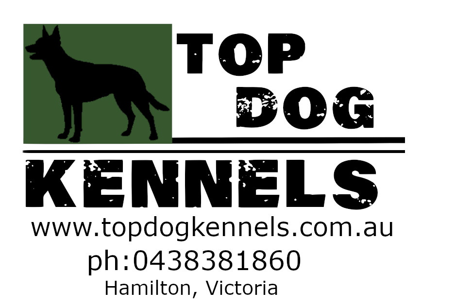 Top Dog Kennels | store | 76 Lodge Rd, Hamilton VIC 3300, Australia | 0438381860 OR +61 438 381 860