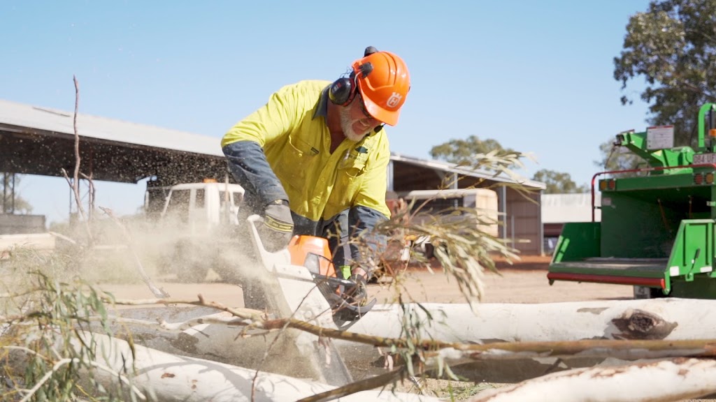 Cut Above Tree Care | 2 Queen St, Roma QLD 4455, Australia | Phone: 0412 303 650