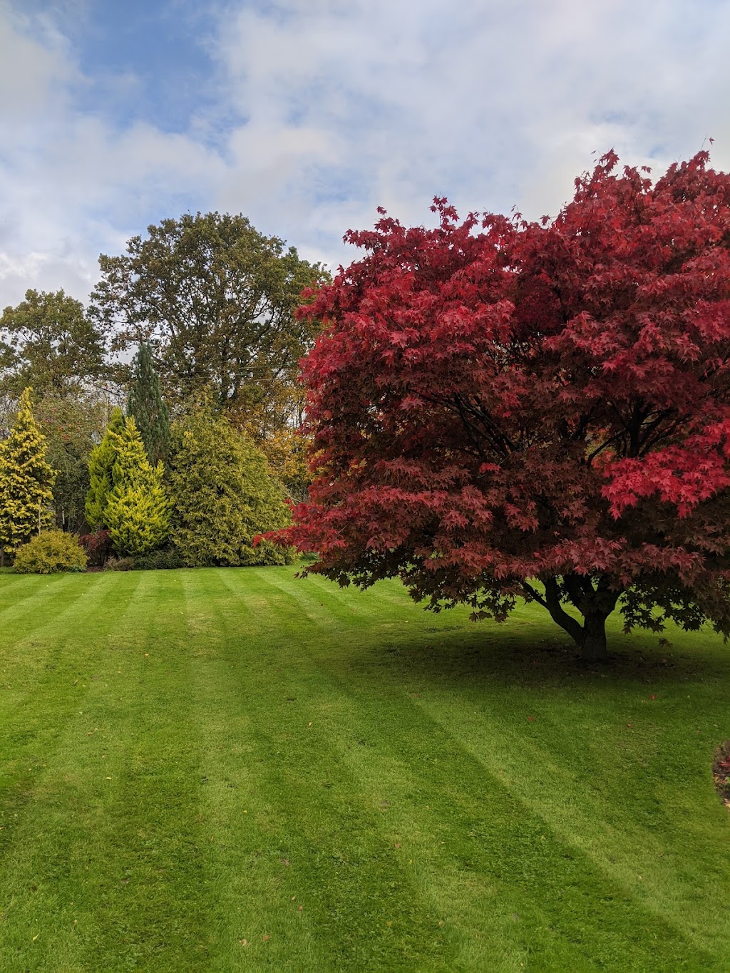 Roots Shoots & Leaves Garden Maintenance | 17 Connaghan Ave, East Corrimal NSW 2518, Australia | Phone: 0490 797 129