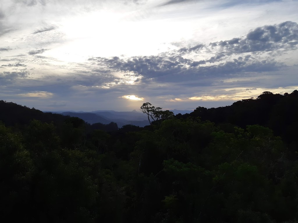 Lamington National Park - Green Mountains Section | park | Lamington National Park Rd, Binna Burra QLD 4211, Australia