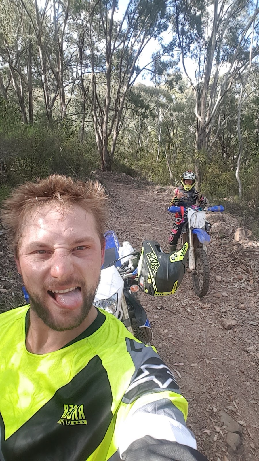 Bike Territory | store | Cascades, 4188 Killarney Gap Rd, Rocky Creek NSW 2390, Australia | 0267834218 OR +61 2 6783 4218