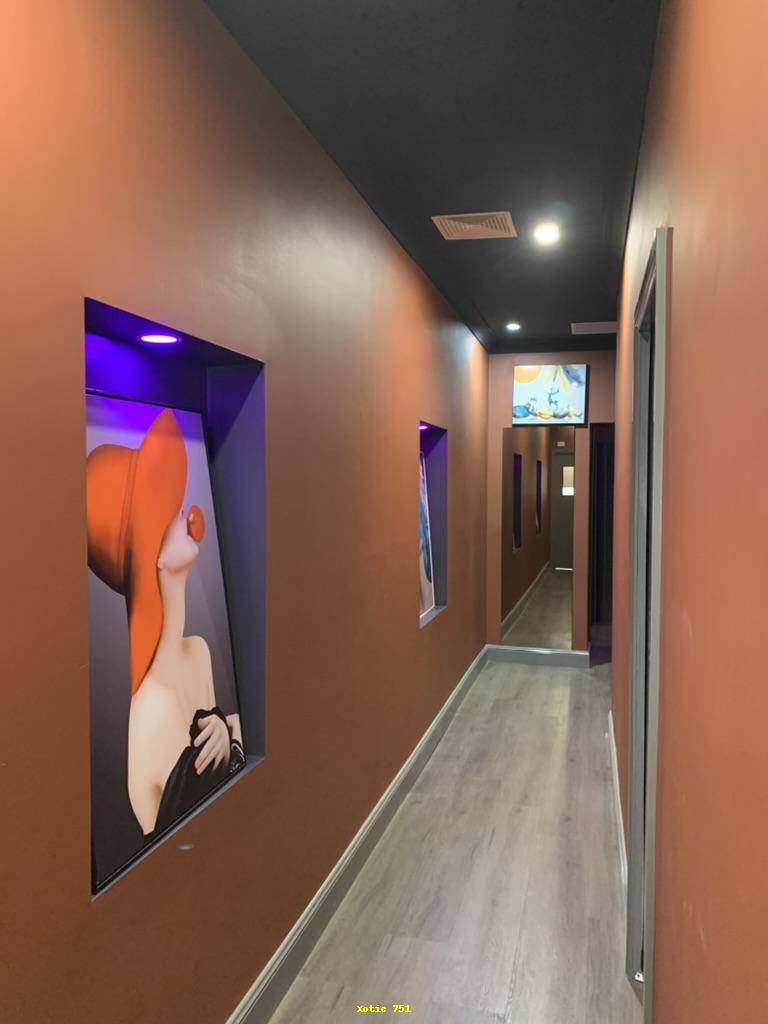 Xotic 751 | 751 New Canterbury Rd, Dulwich Hill NSW 2203, Australia | Phone: (02) 8577 9999