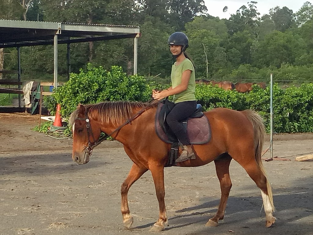 Horse Riding @ Rossis | 289 Fraser Rd, Beerwah QLD 4519, Australia | Phone: (07) 5494 8515