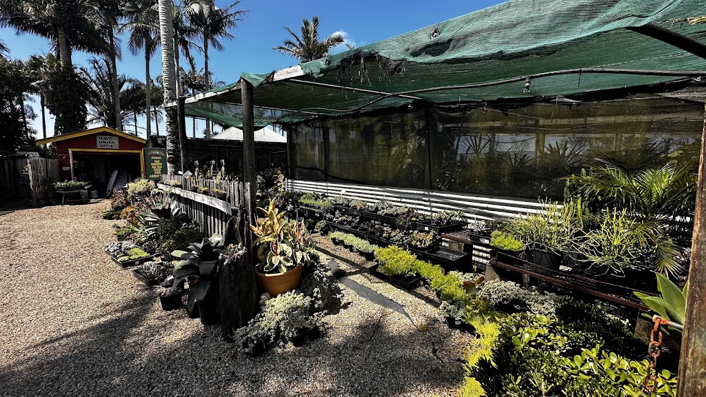 Onshore Nursery | 369 Hinterland Wy, Knockrow NSW 2479, Australia | Phone: 0401 224 632