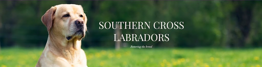 Southern Cross Labradors |  | 185 Ryan Rd, Sellicks Hill SA 5174, Australia | 0450074147 OR +61 450 074 147