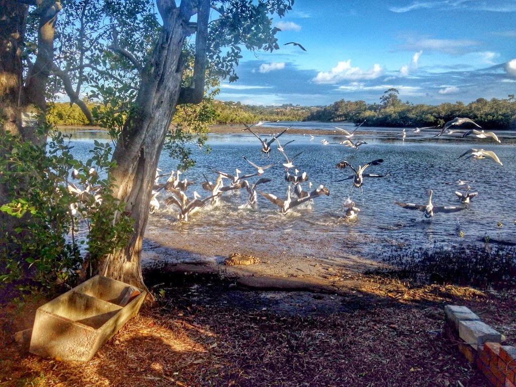 Tweed Heads Historical Society |  | Pioneer Park, 230 Kennedy Dr, Tweed Heads West NSW 2485, Australia | 0755693148 OR +61 7 5569 3148