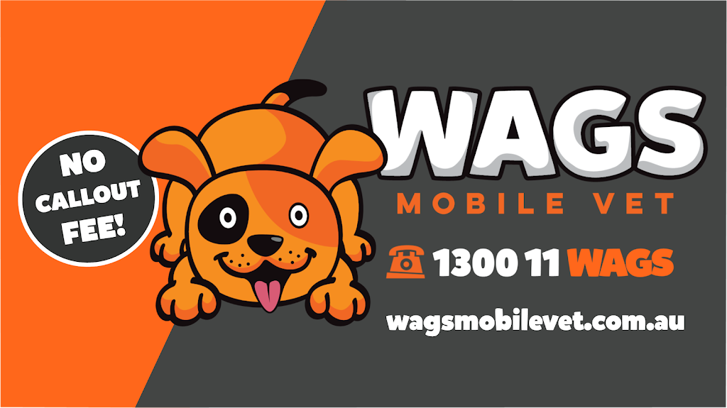 Wags Mobile Vet | Road, Cashmere QLD 4500, Australia | Phone: 0416 929 461