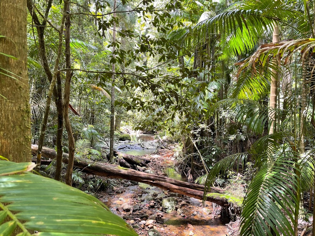 Rowlands Creek | park | Sand Ridge Rd, Rowlands Creek NSW 2484, Australia