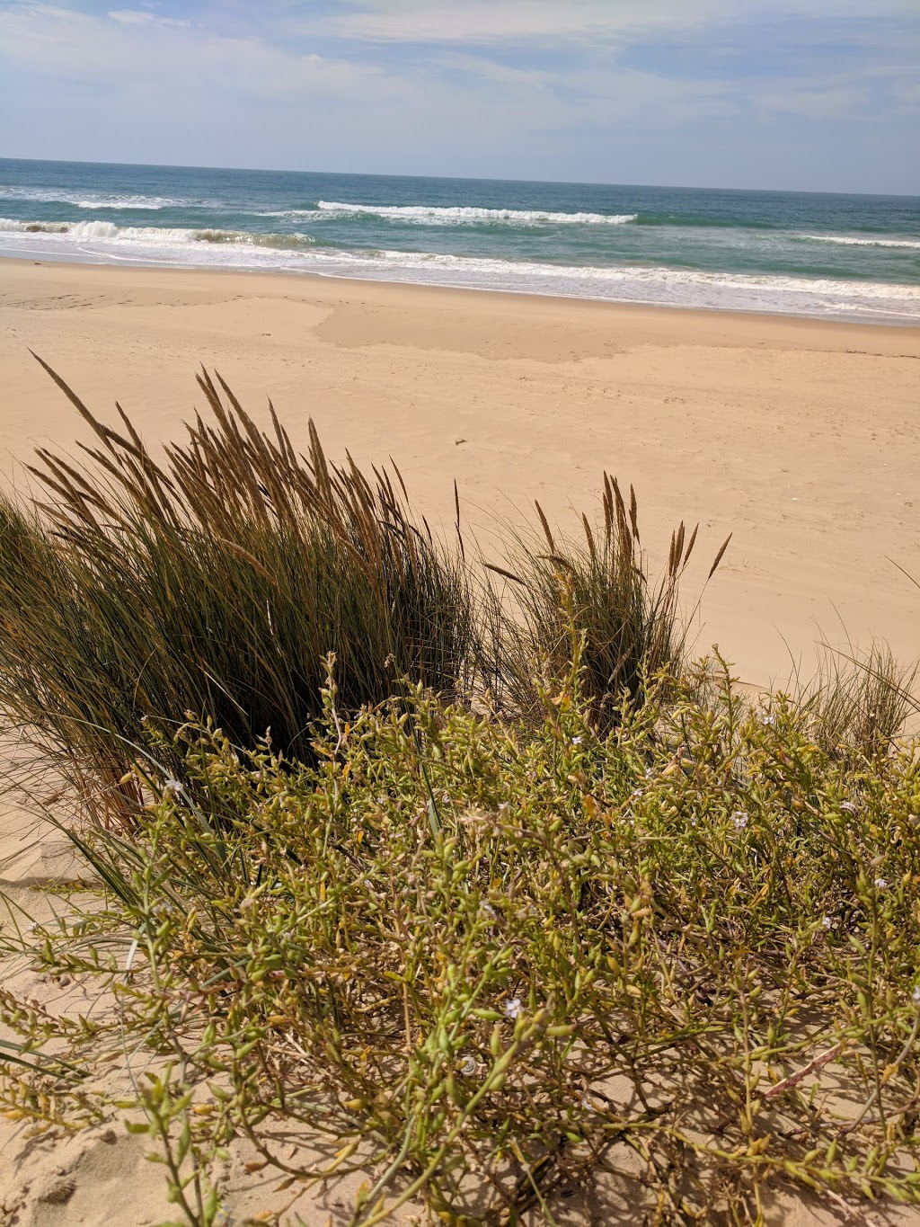 Ninety Mile Beach Marine National Park | Victoria, Australia