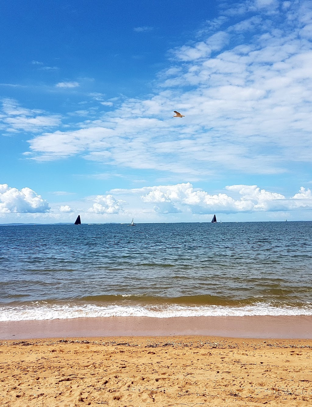 Suttons Beach Rotunda | park | 50 Marine Parade, Redcliffe QLD 4020, Australia