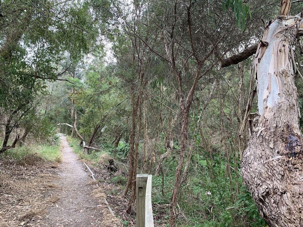 Ayr Creek Trail | park | Surf Parade, Inverloch VIC 3996, Australia