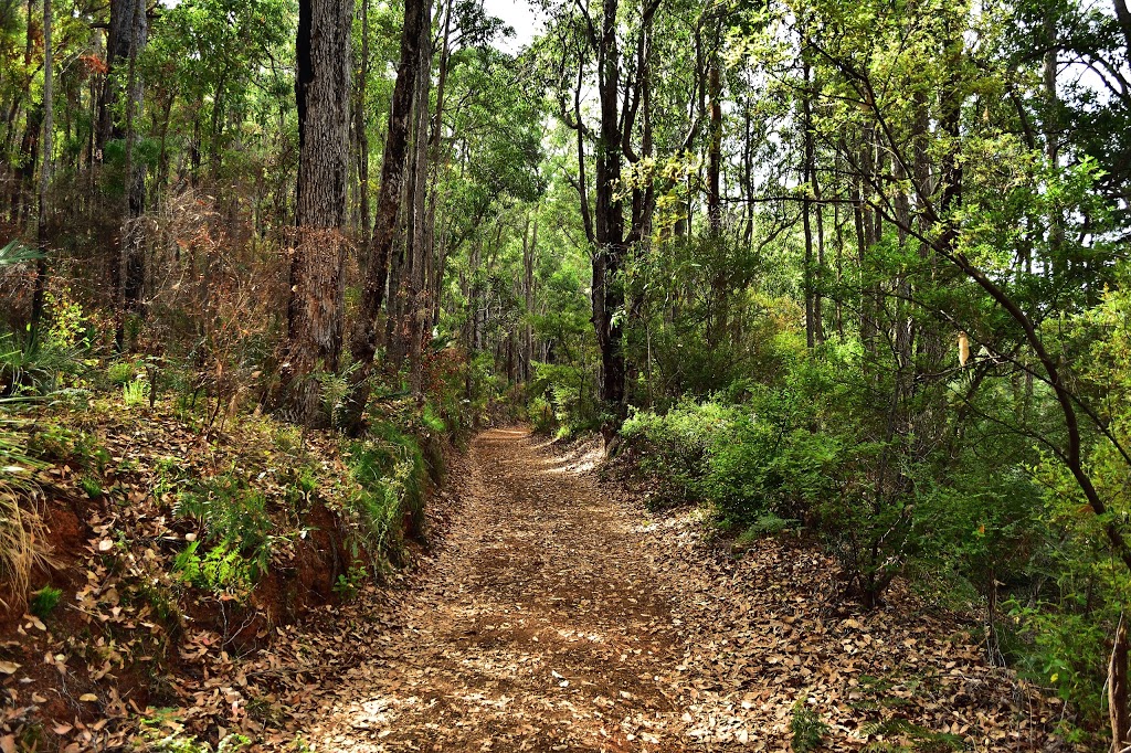 Nanga Brook campground | Nanga Rd, Nanga Brook WA 6215, Australia | Phone: (08) 9538 1078