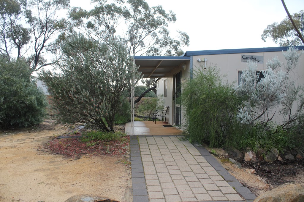 Wongan Hills Caravan Park | 65 Wongan Rd, Wongan Hills WA 6603, Australia | Phone: 0427 000 328