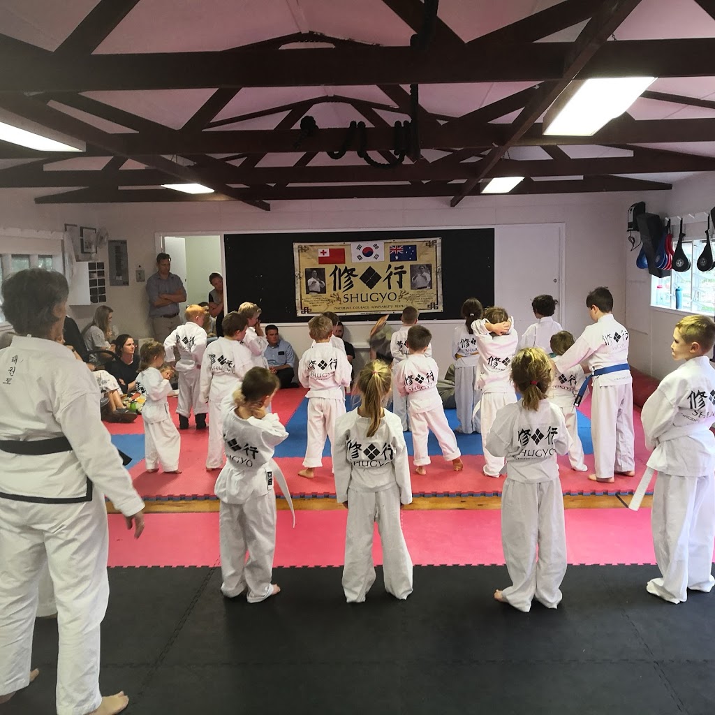 Shugyo - Taekwondo and Movement | Freshwater SLSC, Kooloora Ave, Freshwater NSW 2096, Australia | Phone: 0403 881 332