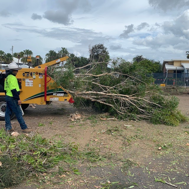 Boyne Island Tree Services | 1 Ronpen Cl, Tannum Sands QLD 4680, Australia | Phone: 0427 777 652