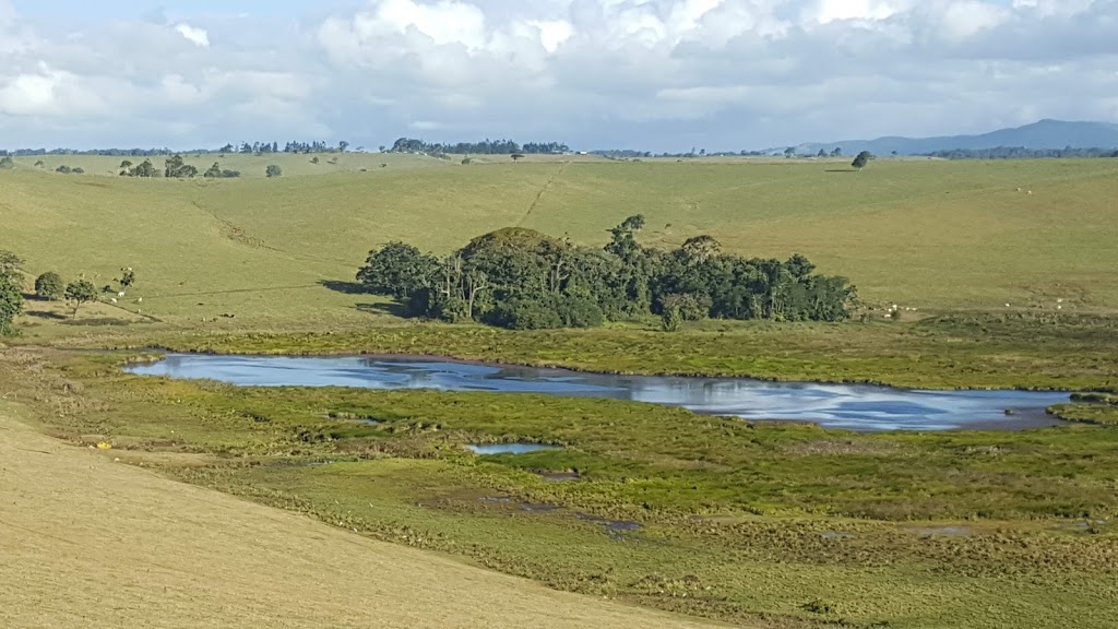 Bromfield Swamp Viewing Platform | Malanda-Upper Barron Road, Upper Barron QLD 4883, Australia | Phone: 1300 362 242