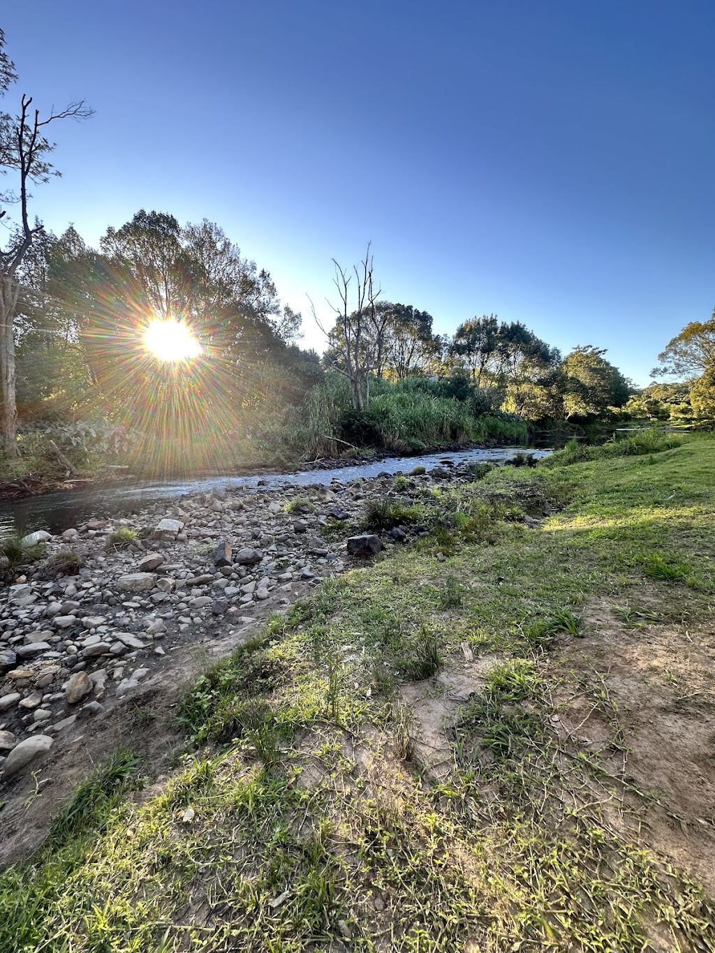 Lumeah by the Creek | 401 Terania Creek Rd, Terania Creek NSW 2480, Australia | Phone: 0414 753 314