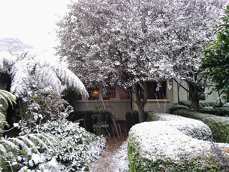 Secret Garden Cottage | 12 Mort St, Katoomba NSW 2780, Australia | Phone: 0418 105 543