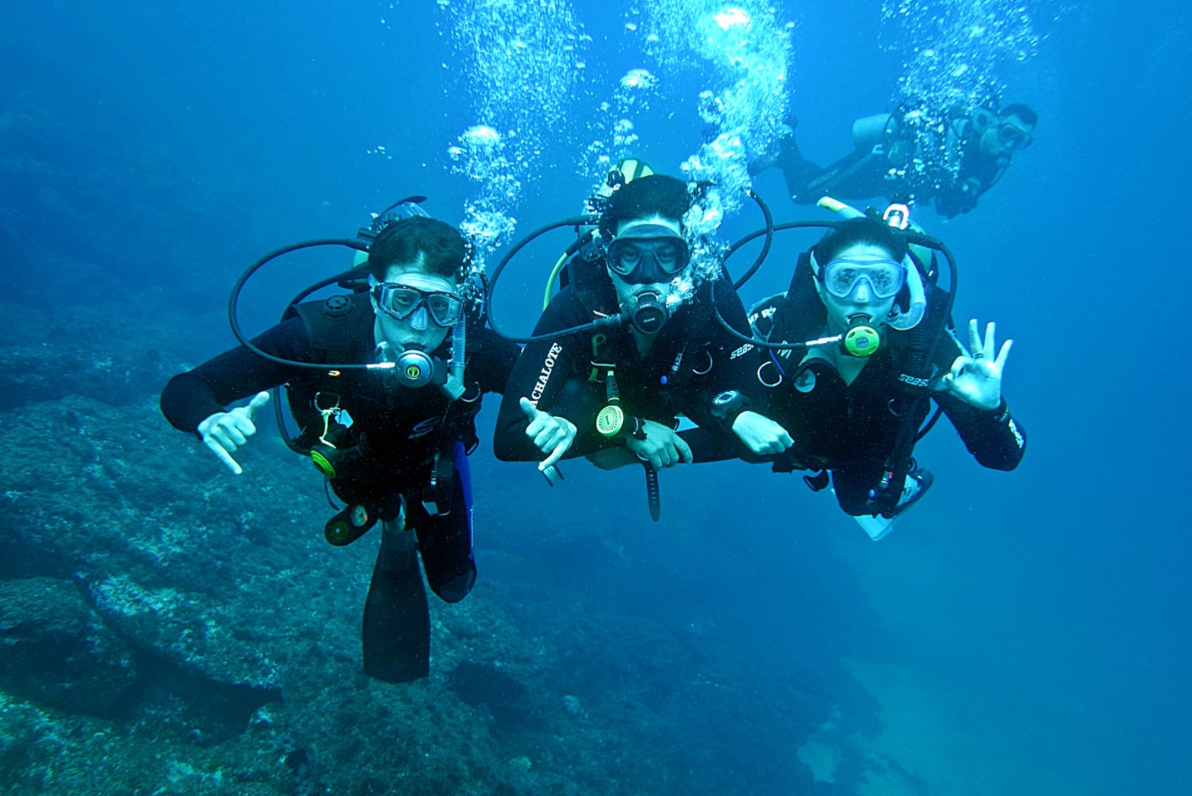 Abyss Scuba Diving | 278 Rocky Point Rd, Ramsgate NSW 2217, Australia | Phone: 02 9583 9662