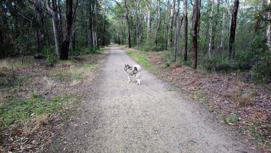 Knapsack Reserve | park | 26 Barnet St, Glenbrook NSW 2773, Australia