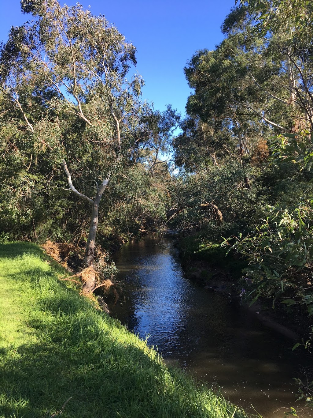 Boulevard Reserve | Moonee Ponds Creek Trail, Pascoe Vale South VIC 3044, Australia