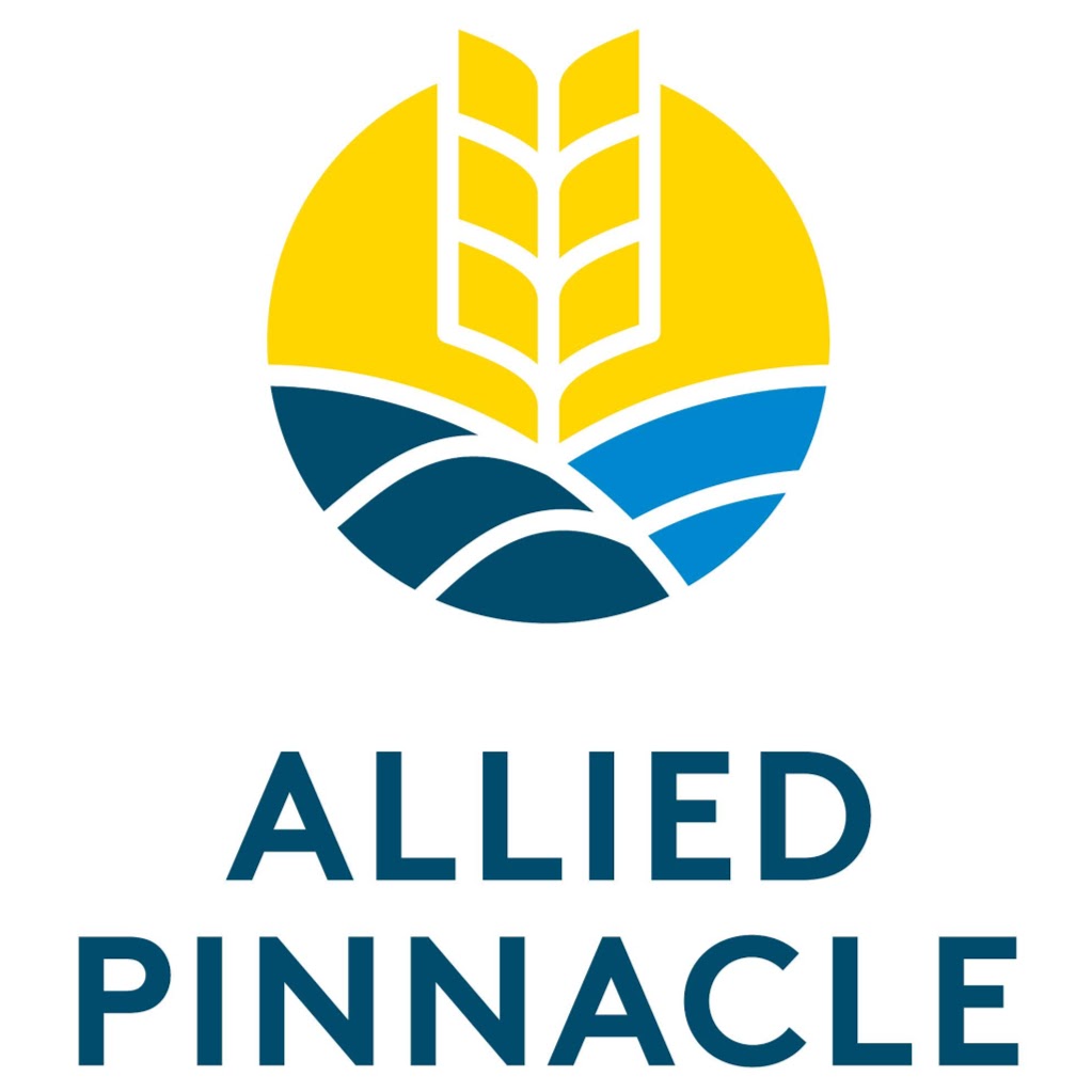 Allied Pinnacle Minto | storage | Warehouse 3A/415 Pembroke Rd, Minto NSW 2566, Australia | 1300369869 OR +61 1300 369 869