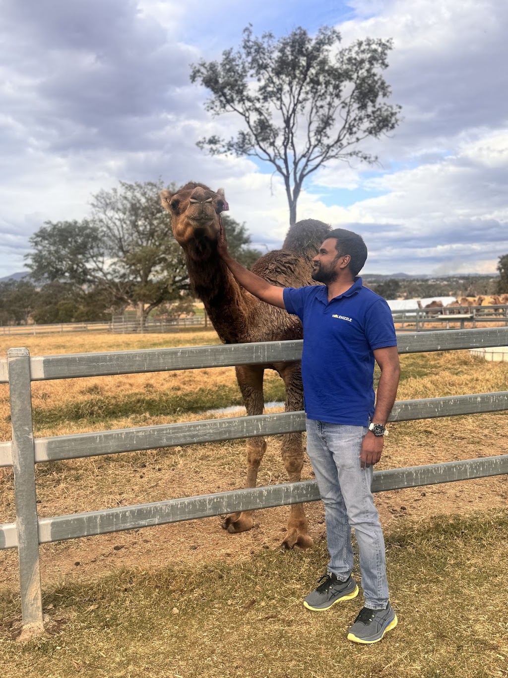 Holidazzle PTY LTD | 207 Belvedere Dr, Spring Mountain QLD 4300, Australia | Phone: 0435 072 578